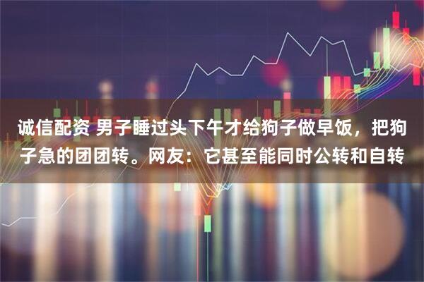 诚信配资 男子睡过头下午才给狗子做早饭，把狗子急的团团转。网友：它甚至能同时公转和自转