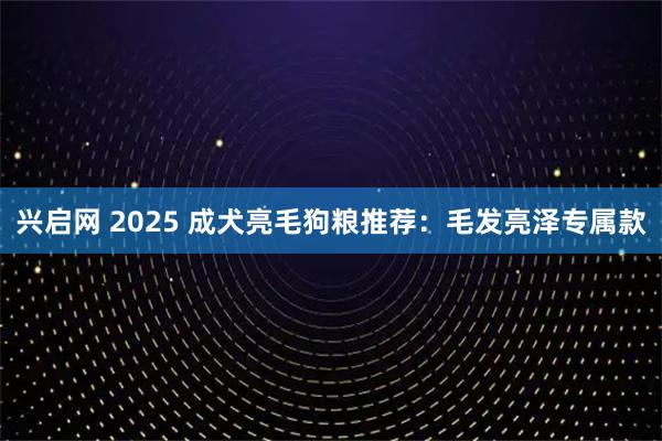 兴启网 2025 成犬亮毛狗粮推荐：毛发亮泽专属款