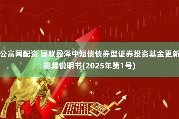 公富网配资 国联盈泽中短债债券型证券投资基金更新招募说明书(2025年第1号)